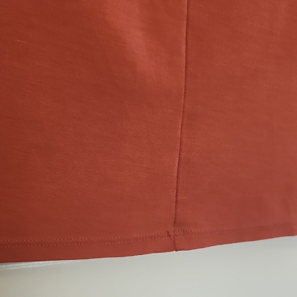 Time and Tru Rust V-Neck Tee - Picture 4 of 9